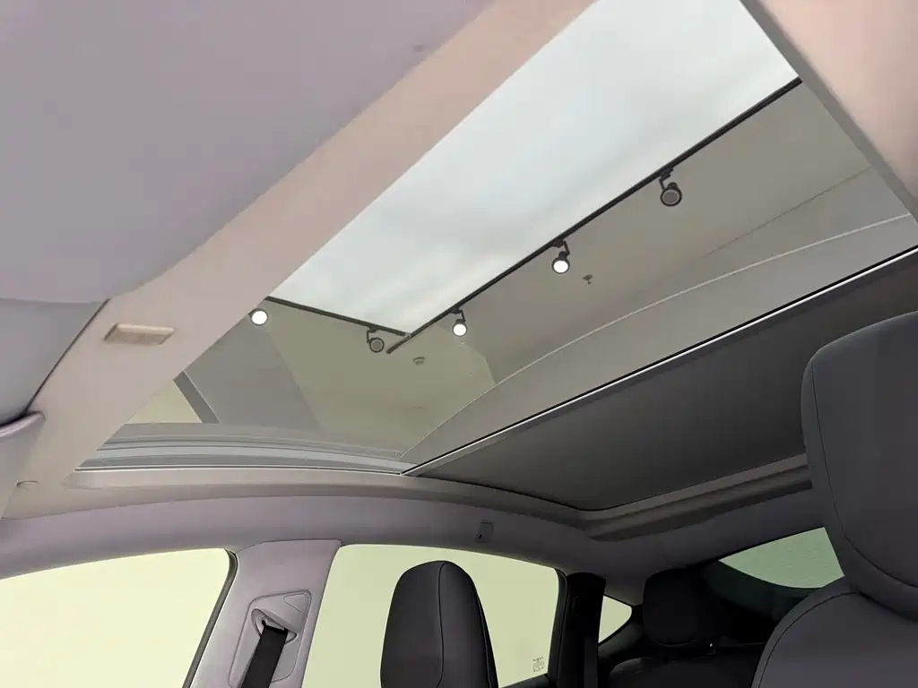 Tesla Model Y — миниатюра 19