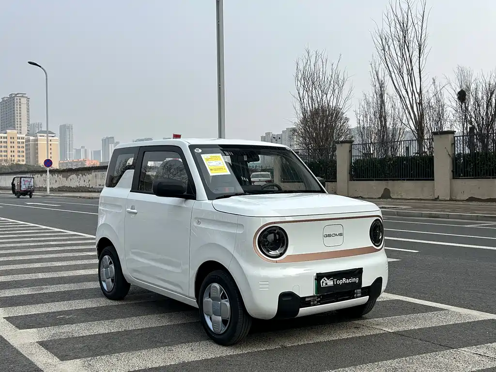 GEELY GALAXY PANDA