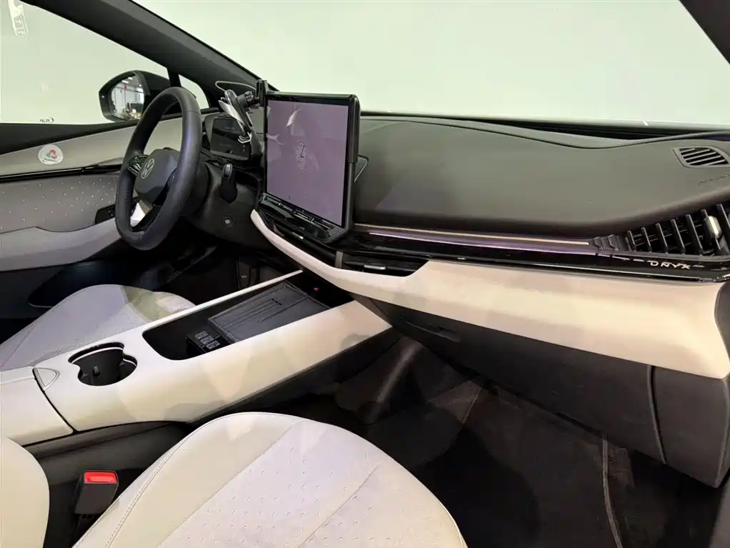 VOLKSWAGEN WITH THE CROWD 06