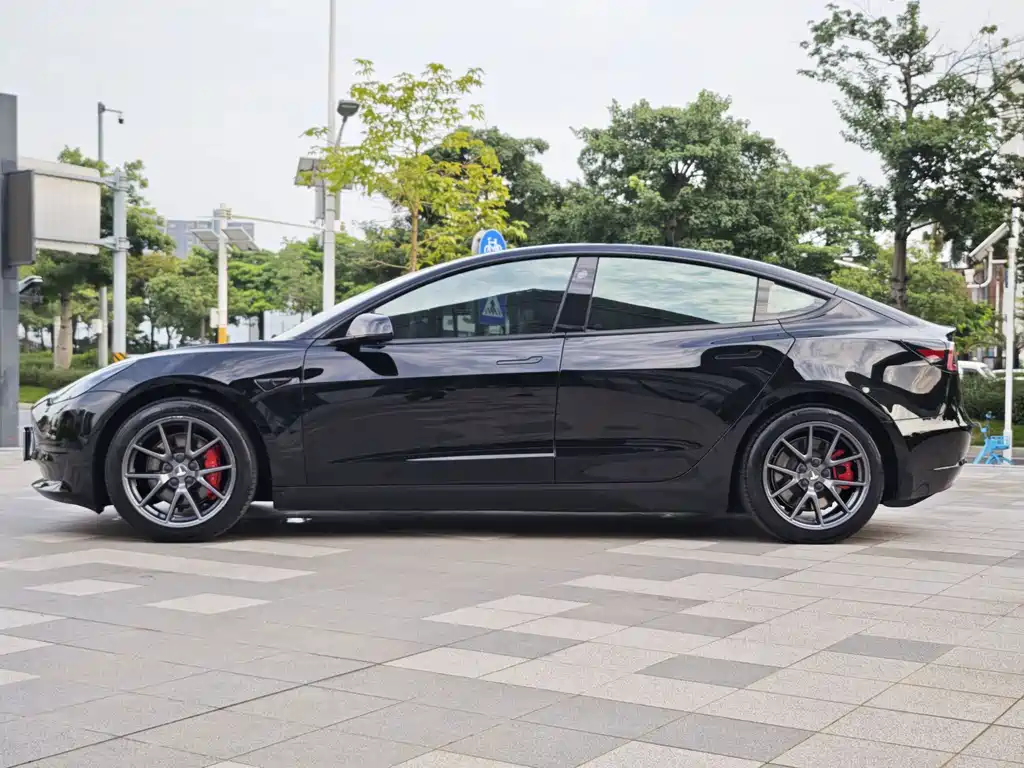 Tesla Model 3 — миниатюра 19