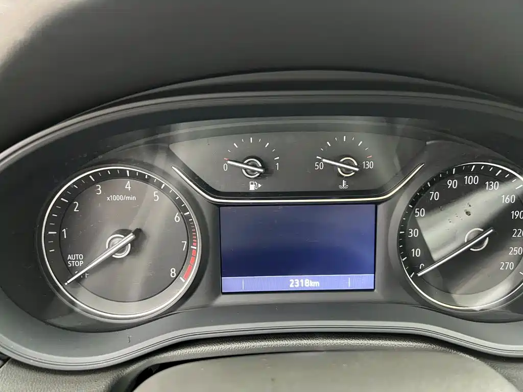 Buick Regal — миниатюра 11