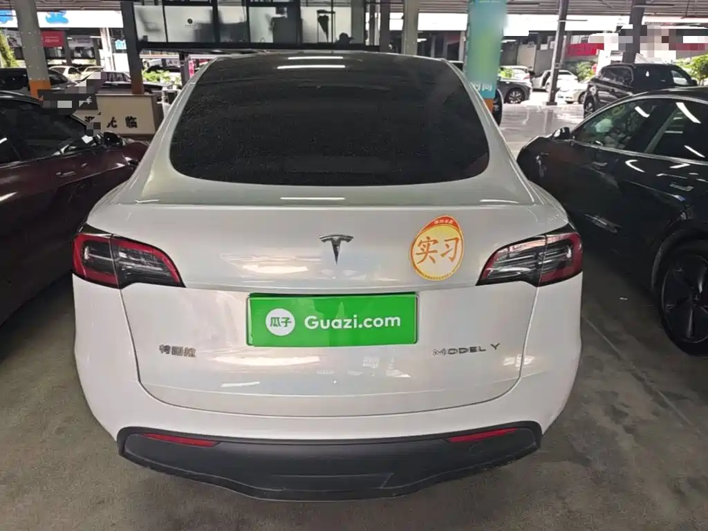 Tesla Model Y — миниатюра 6