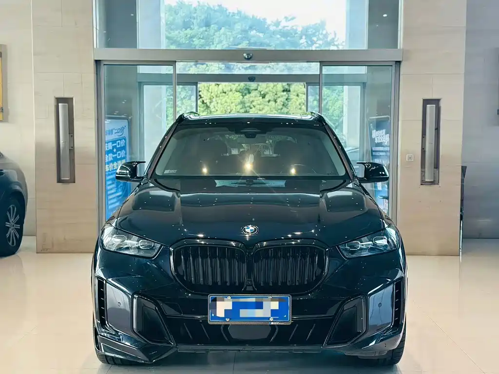 BMW X5 — миниатюра 2