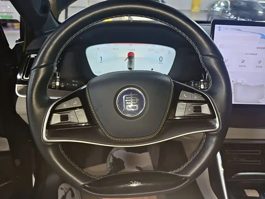 BYD Tang New Energy — миниатюра 11