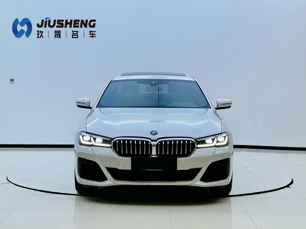 BMW 5 SERIES NEW ENERGY