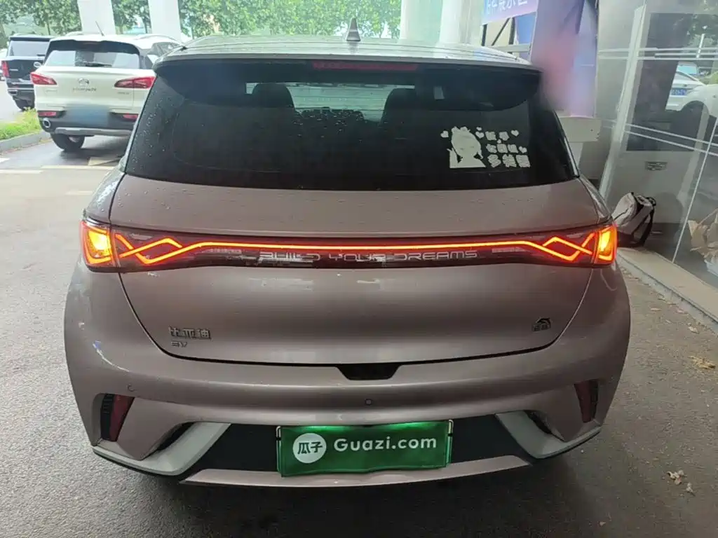 BYD Dolphin 2021 405km Fashion