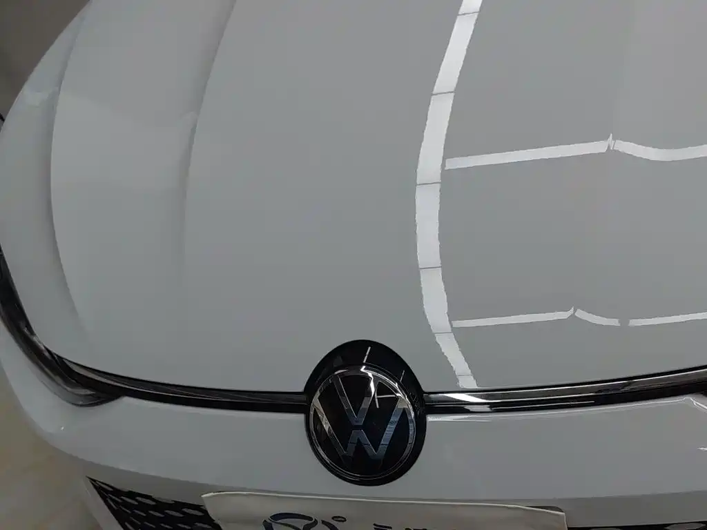 VOLKSWAGEN LINGDU