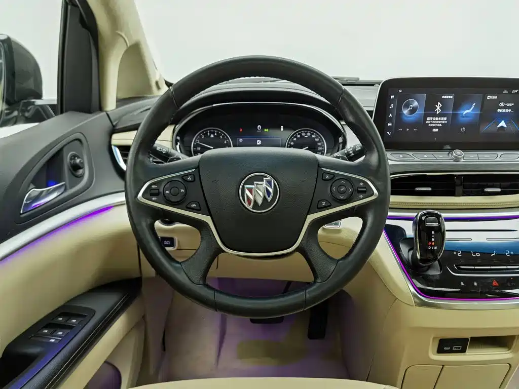 Buick GL8 — миниатюра 11