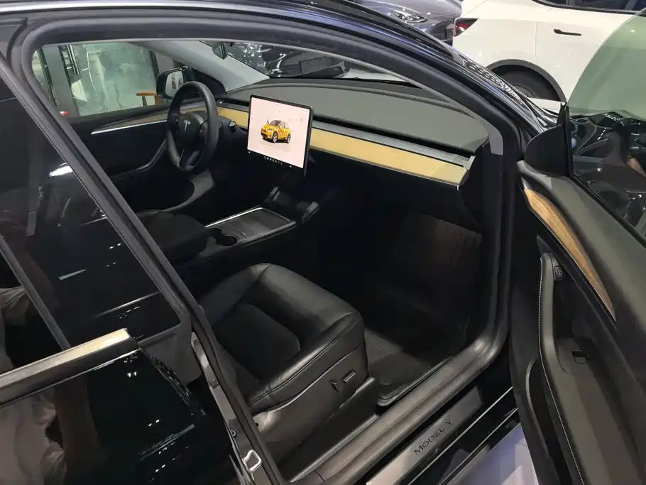 Tesla Model Y — миниатюра 8