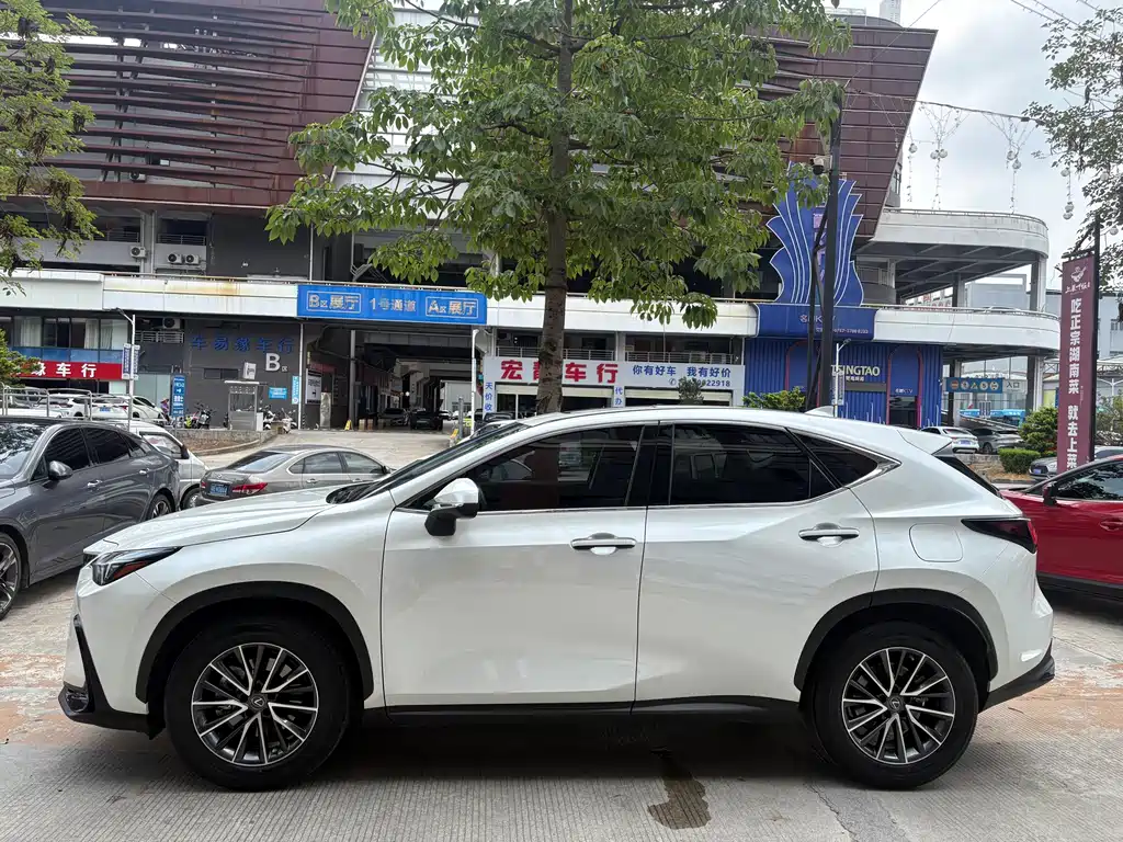 Lexus NX 2022 260