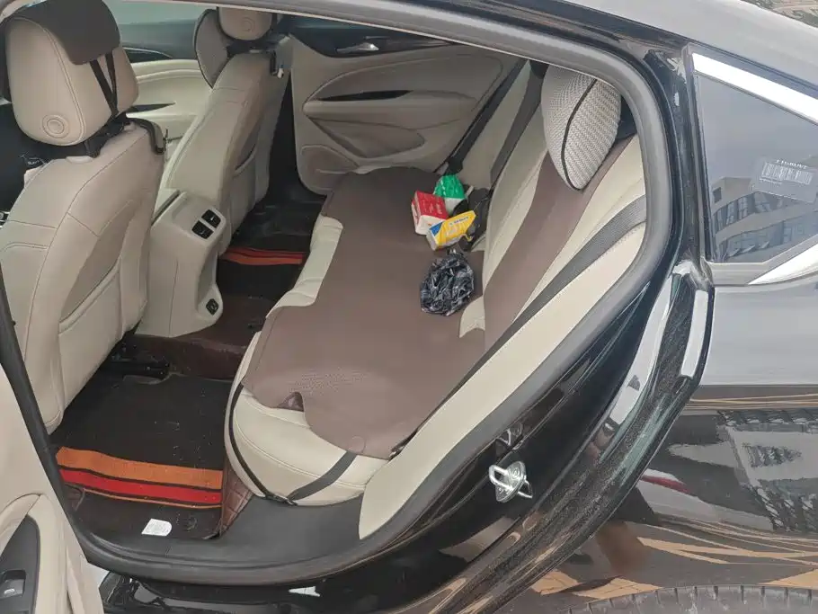 Buick Regal — миниатюра 11