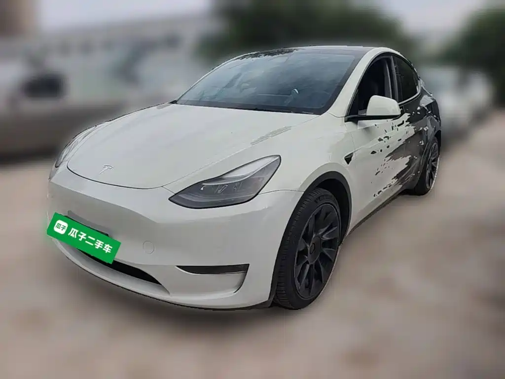 Tesla Model Y — миниатюра 3