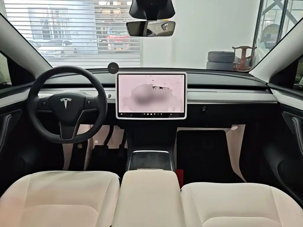 Tesla Model Y — миниатюра 10
