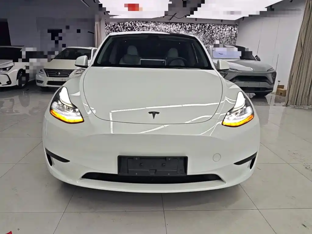 Tesla Model Y — миниатюра 3