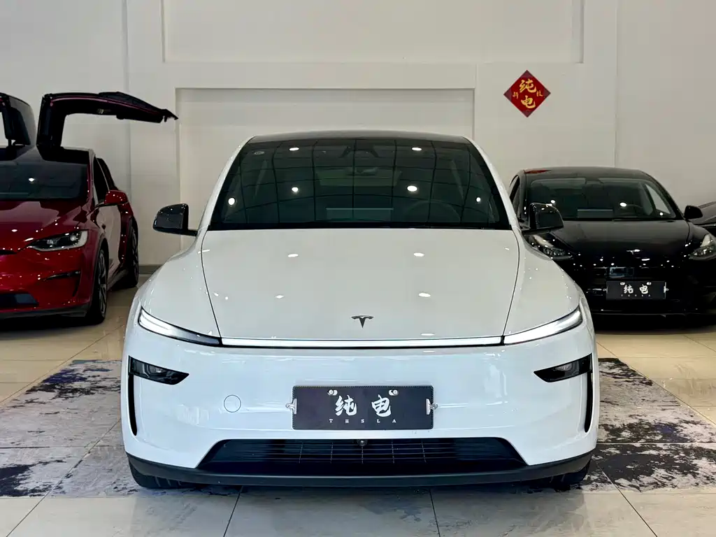 Tesla Model Y — миниатюра 2