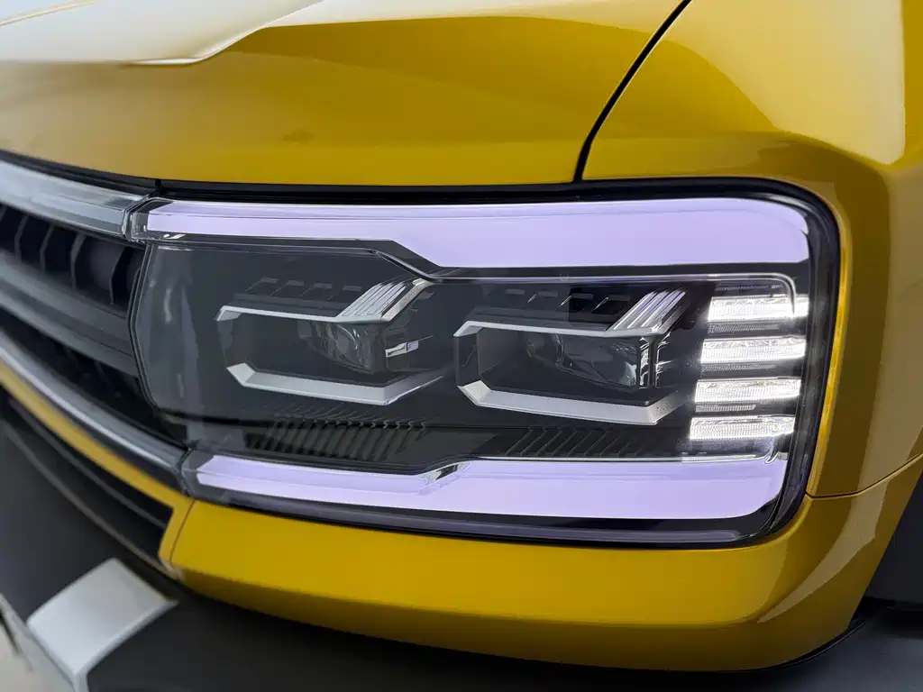 FANG CHENG BAO LEOPARD 5