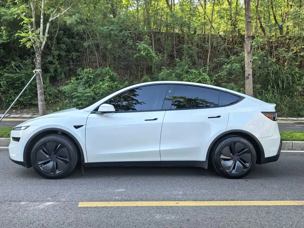 Tesla Model Y — фотографии объявления, Фото 5