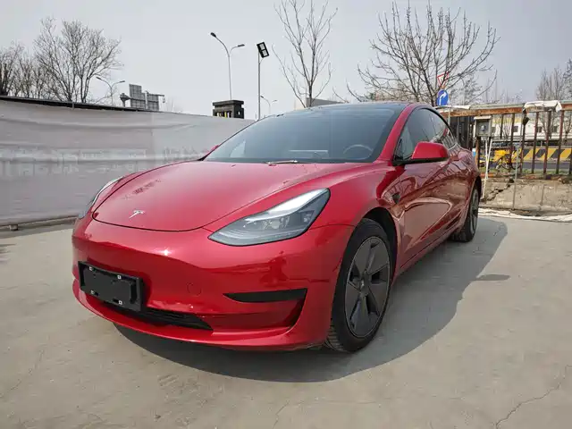 TESLA MODEL 3 2021