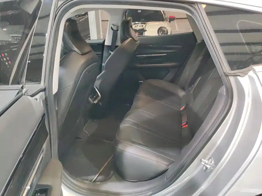 XPeng P7 — миниатюра 11
