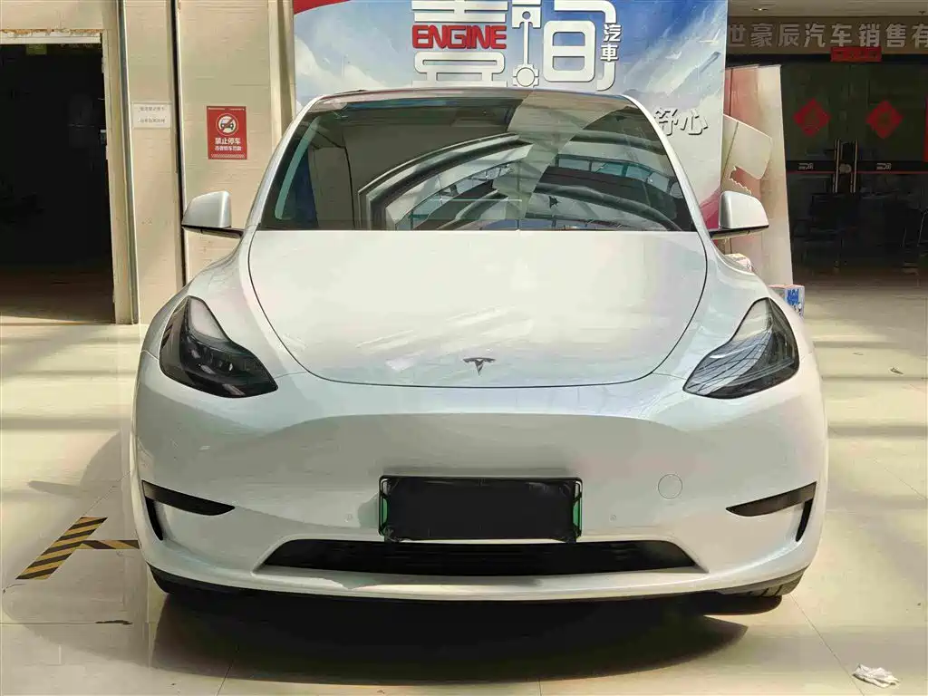 Tesla Model Y — миниатюра 2