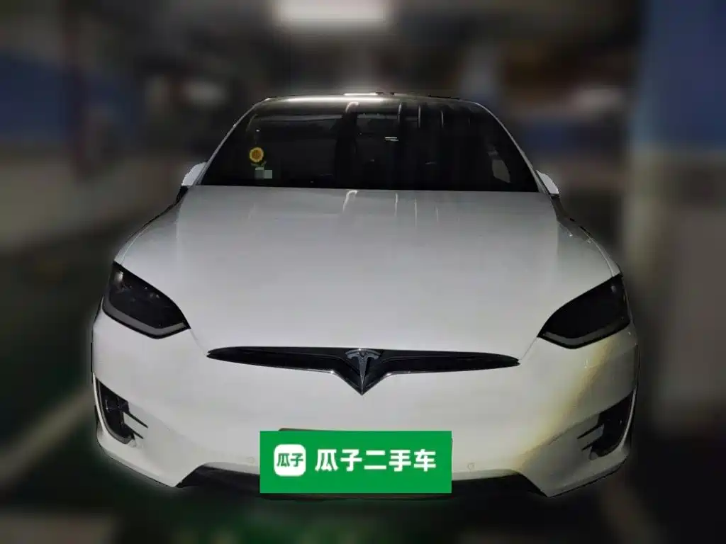 Tesla Model X — миниатюра 23