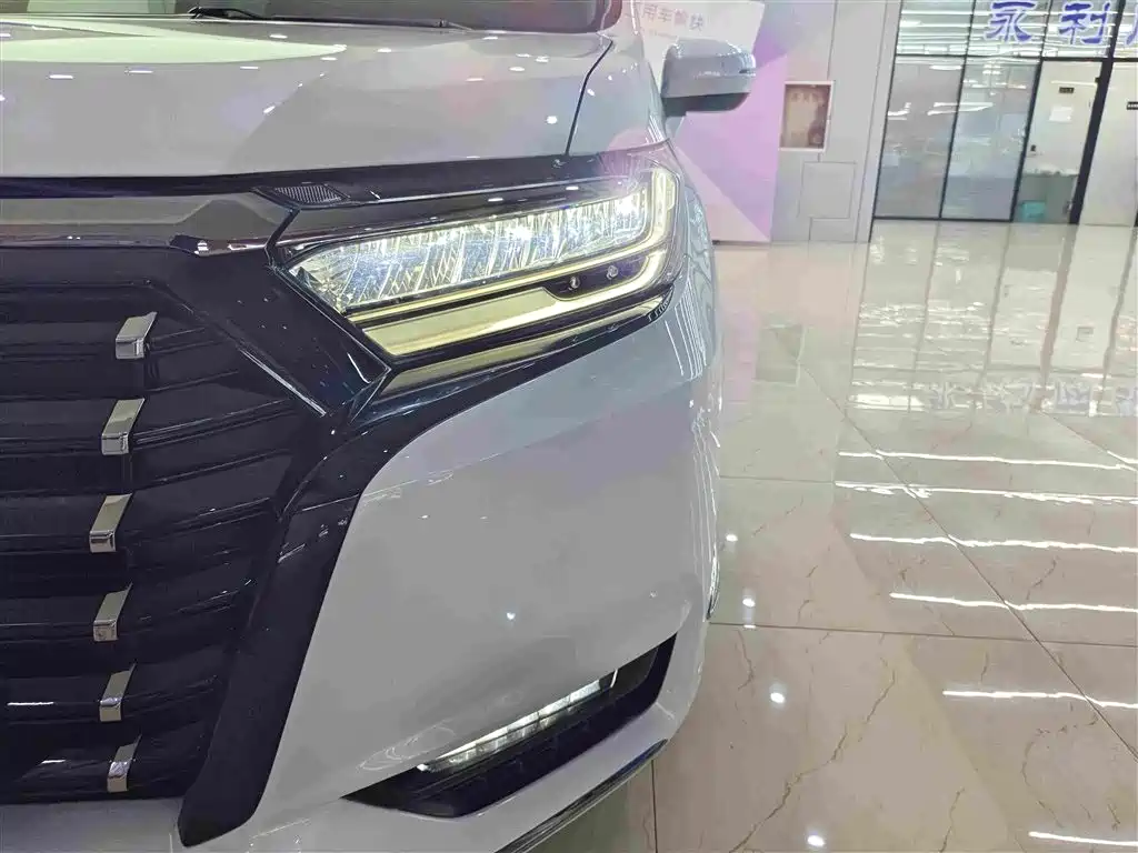 Honda Elysion — миниатюра 9