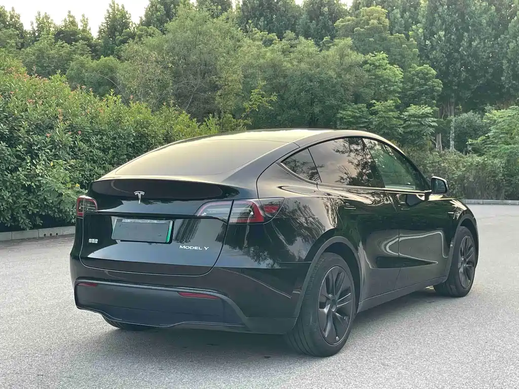 Tesla Model Y — миниатюра 4