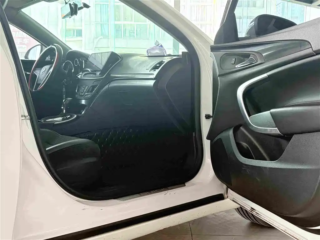Buick Regal — миниатюра 18