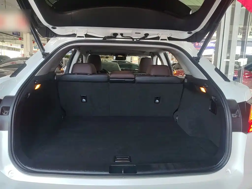 Lexus RX — миниатюра 19