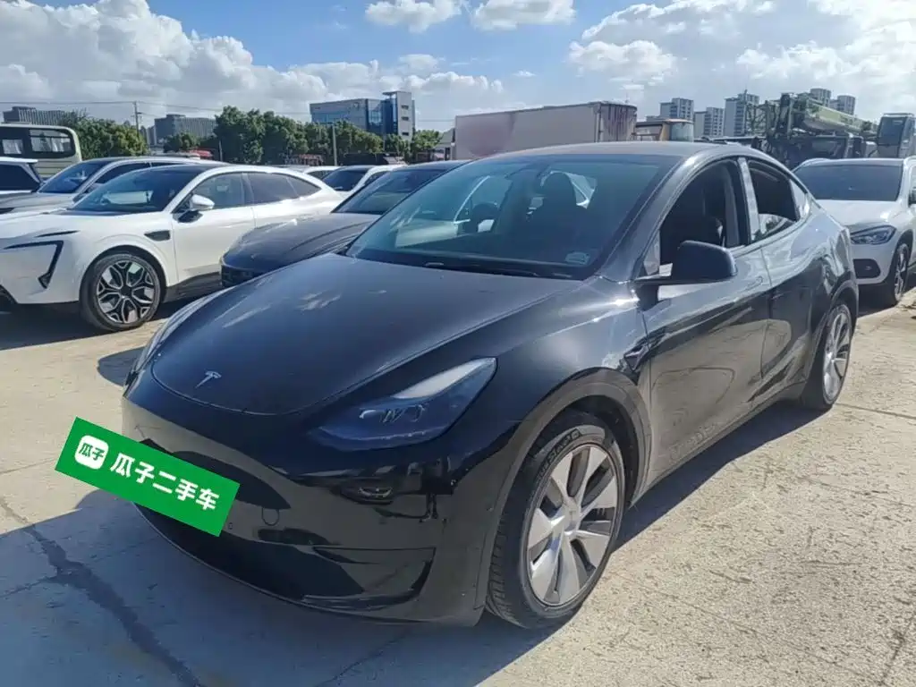 Tesla Model Y — миниатюра 2