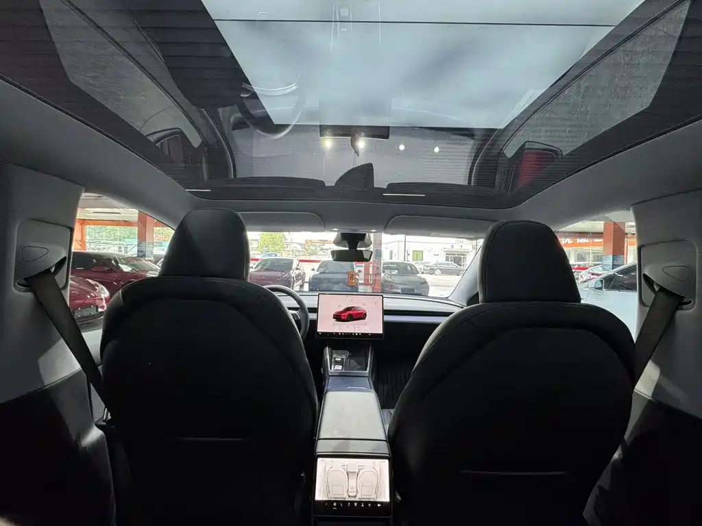 Tesla Model Y — миниатюра 18