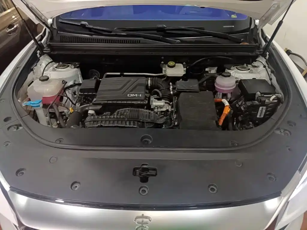 BYD Pro New Energy — миниатюра 20
