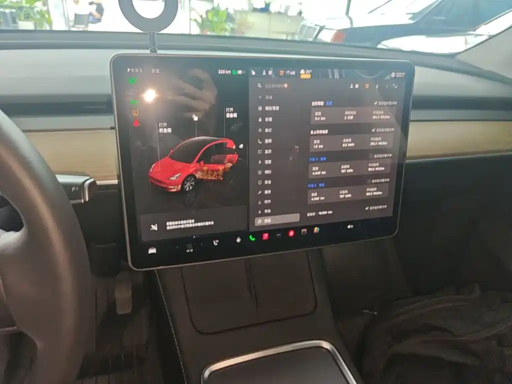 Tesla Model Y — миниатюра 13