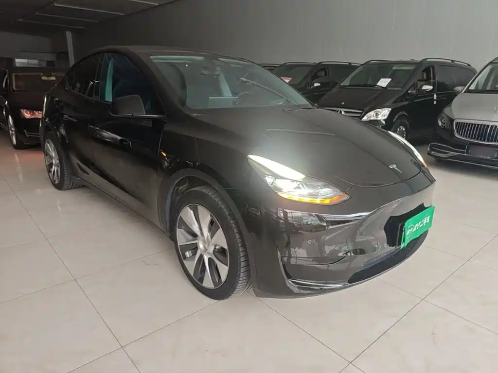 Tesla Model Y — миниатюра 4