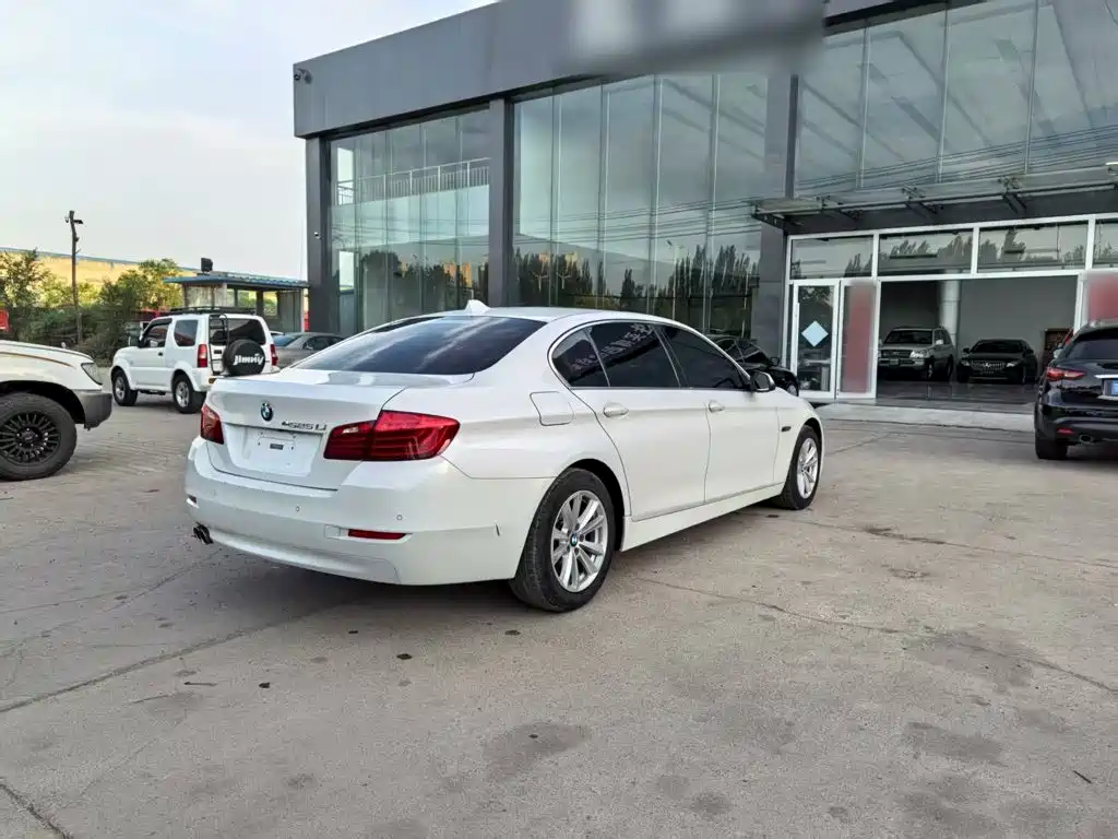 BMW 5 Series 5 2017 520Li Elegant