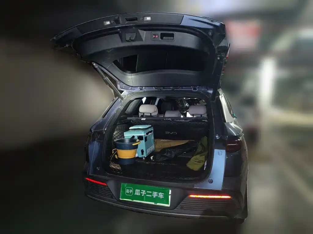 BYD Pro New Energy — миниатюра 10
