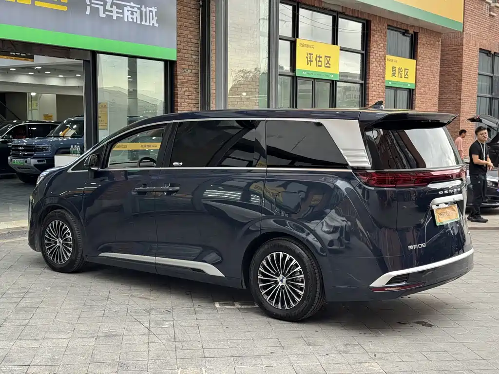Denza Denza D9 — миниатюра 6