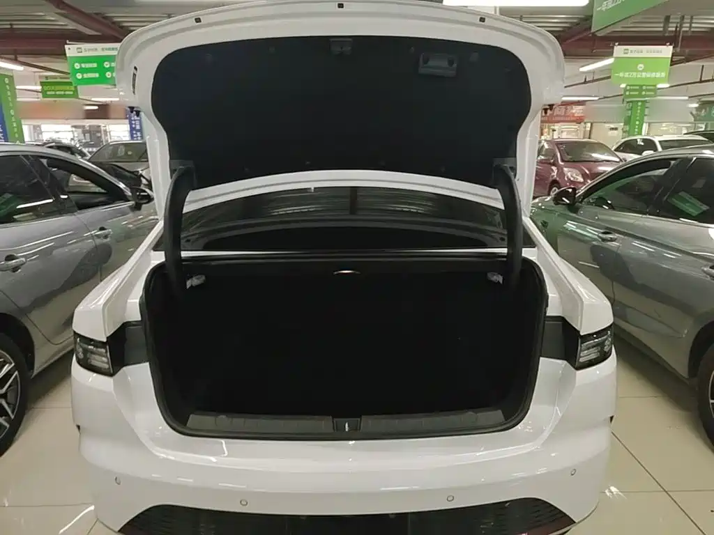 BYD Destroyer 05 — миниатюра 19