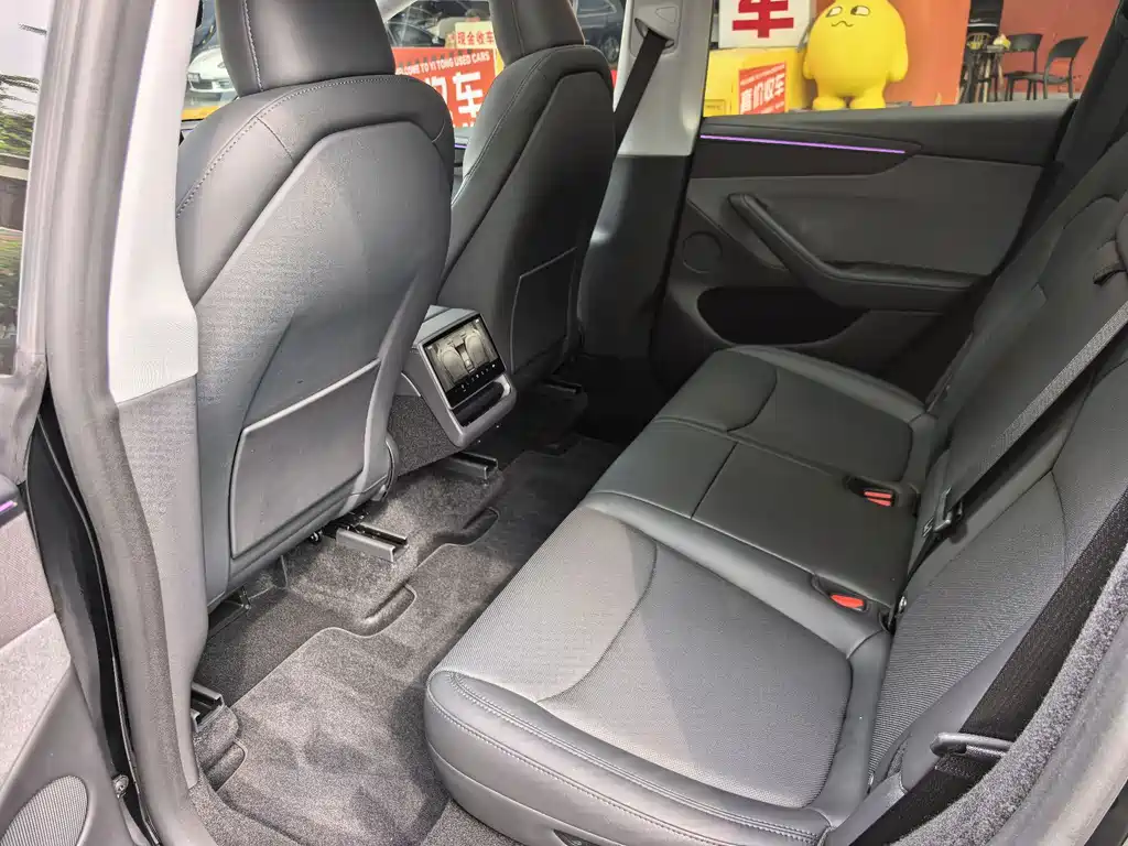 Tesla Model Y — миниатюра 10