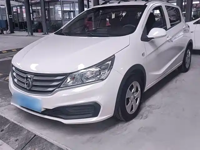 BAOJUN  310 2021