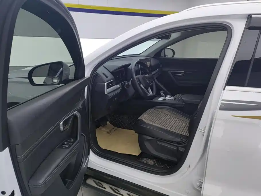 BYD Pro — миниатюра 9