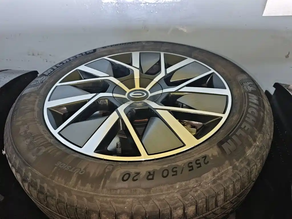 GAC Motor Trumpchi Xiangwang S9 — миниатюра 23