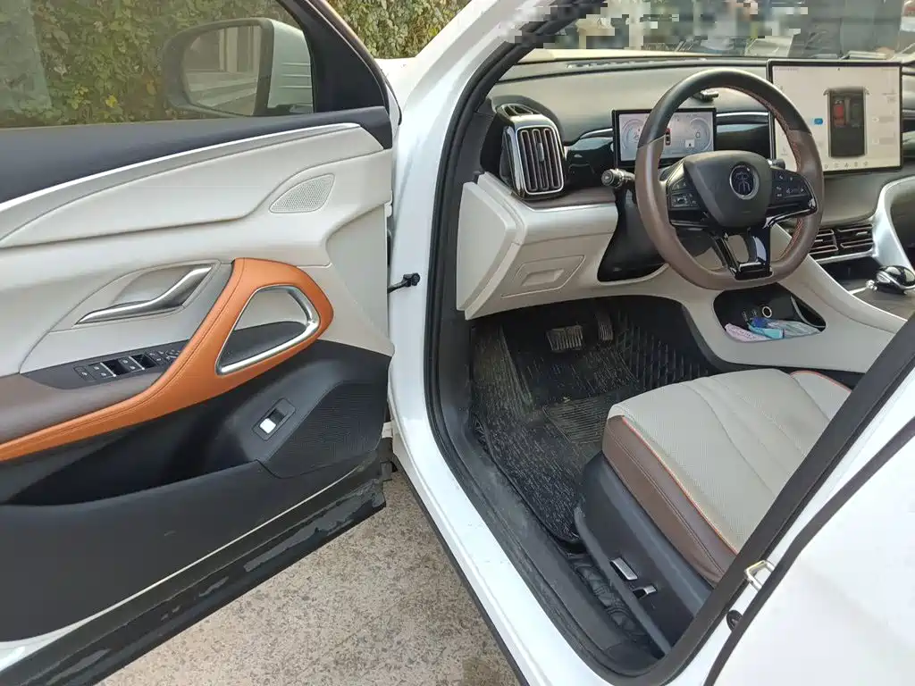 BYD Pro New Energy — миниатюра 12