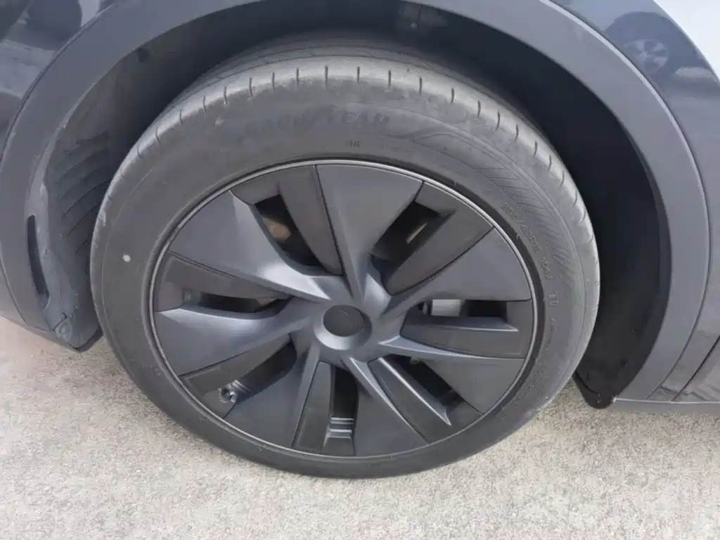 Tesla Model Y — миниатюра 23