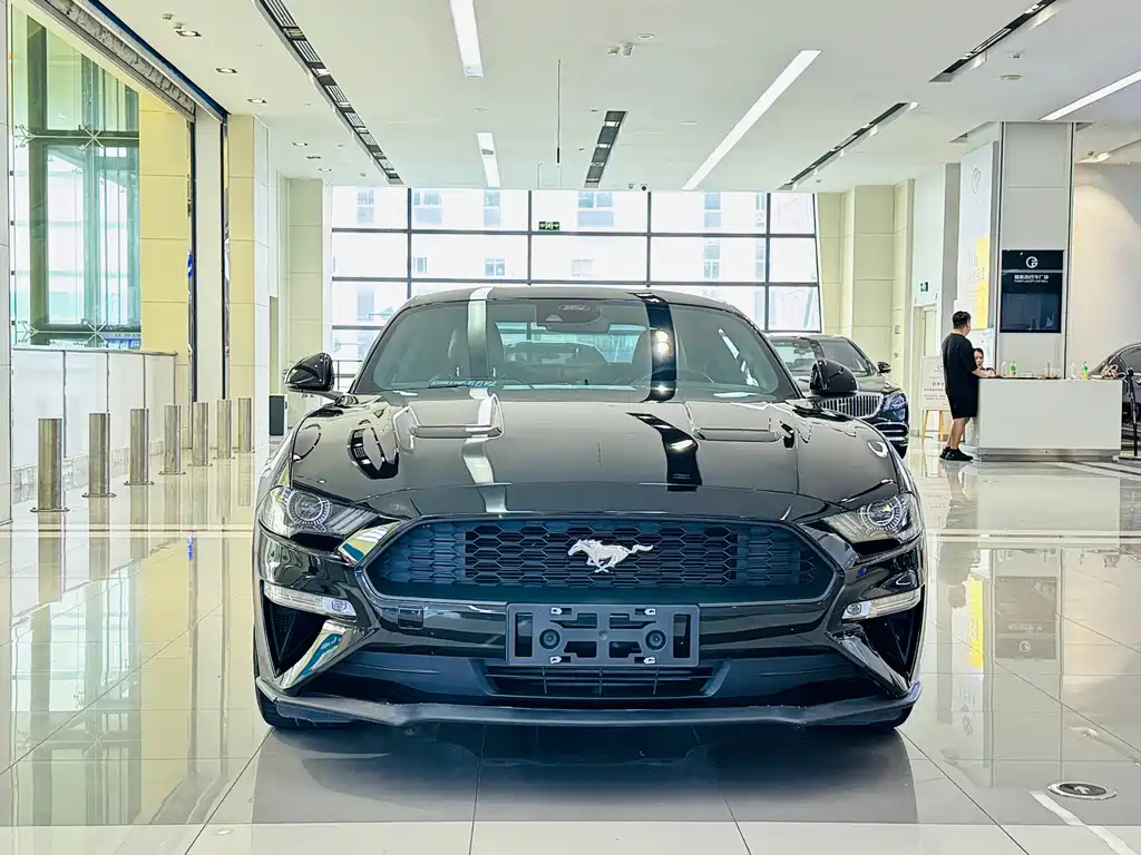 Ford Mustang — миниатюра 11
