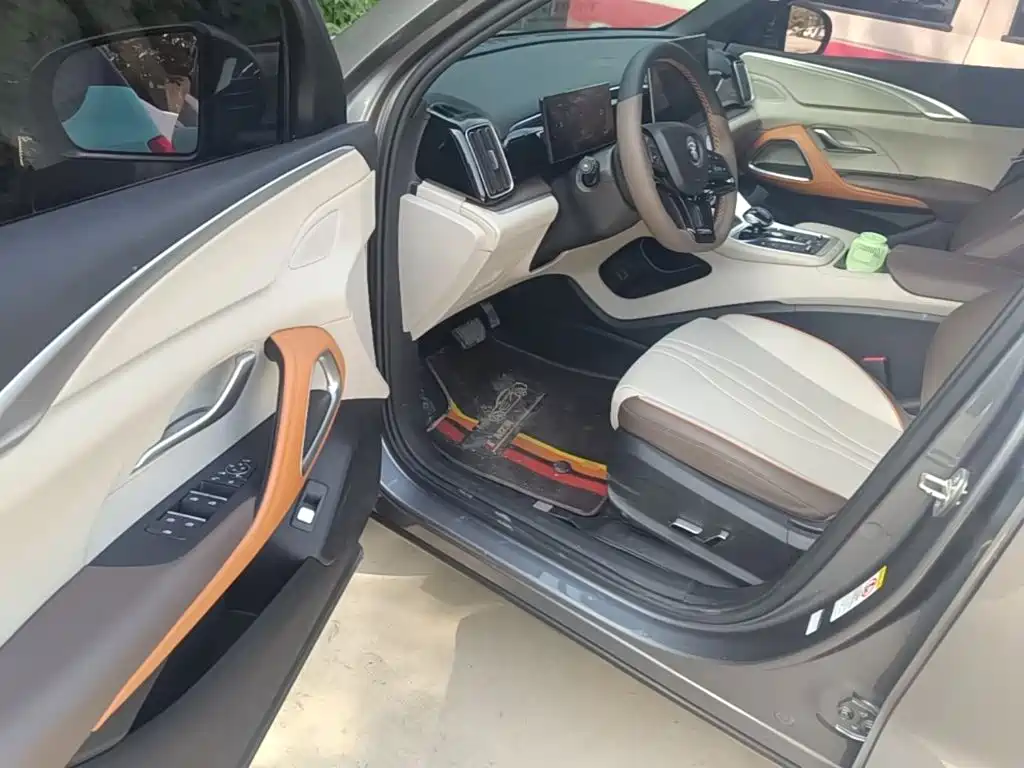 BYD Pro New Energy — миниатюра 16
