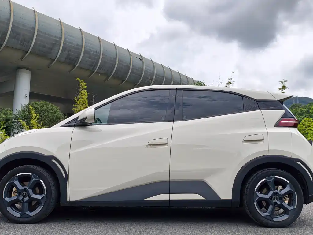 BYD Seagull 2023 Freedom