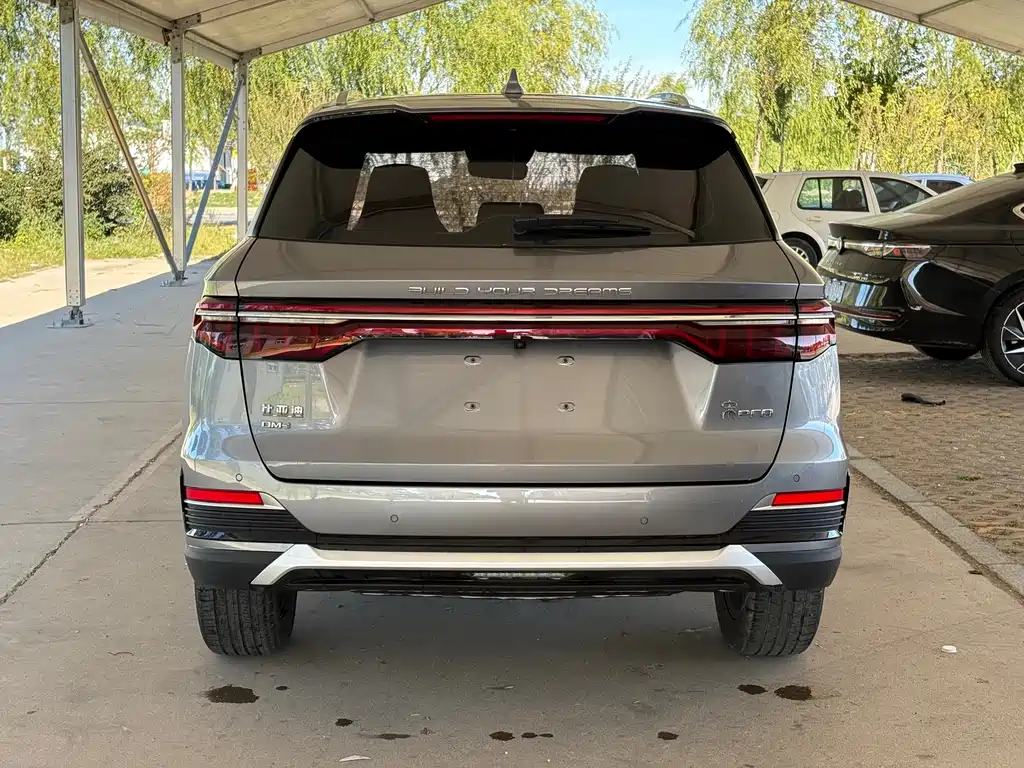 BYD Pro New Energy — миниатюра 8