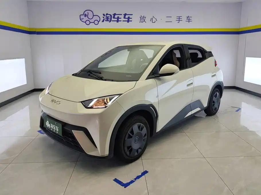 BYD Seagull