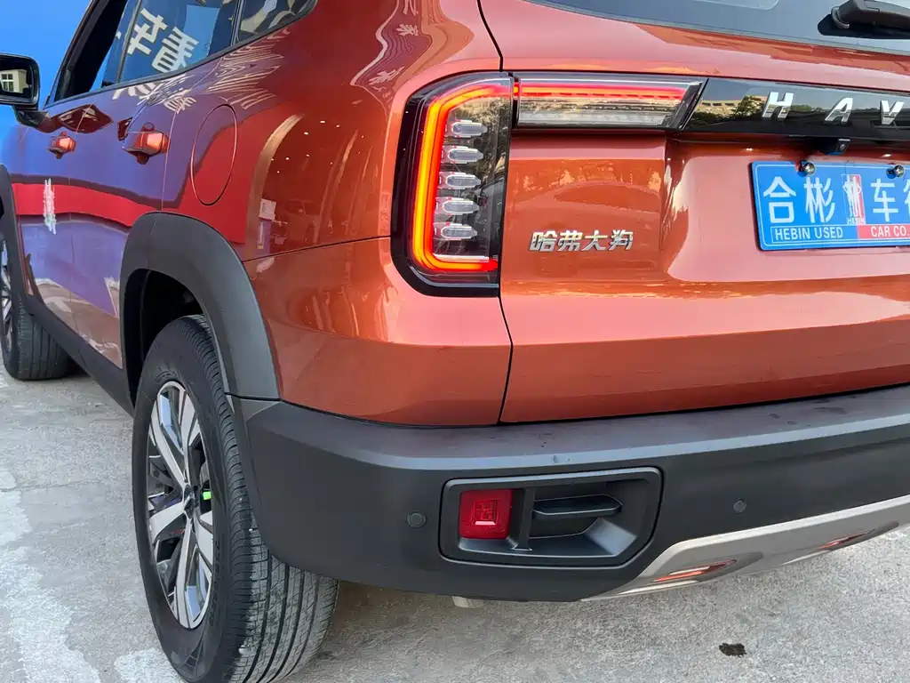 Haval Big Dog — миниатюра 28